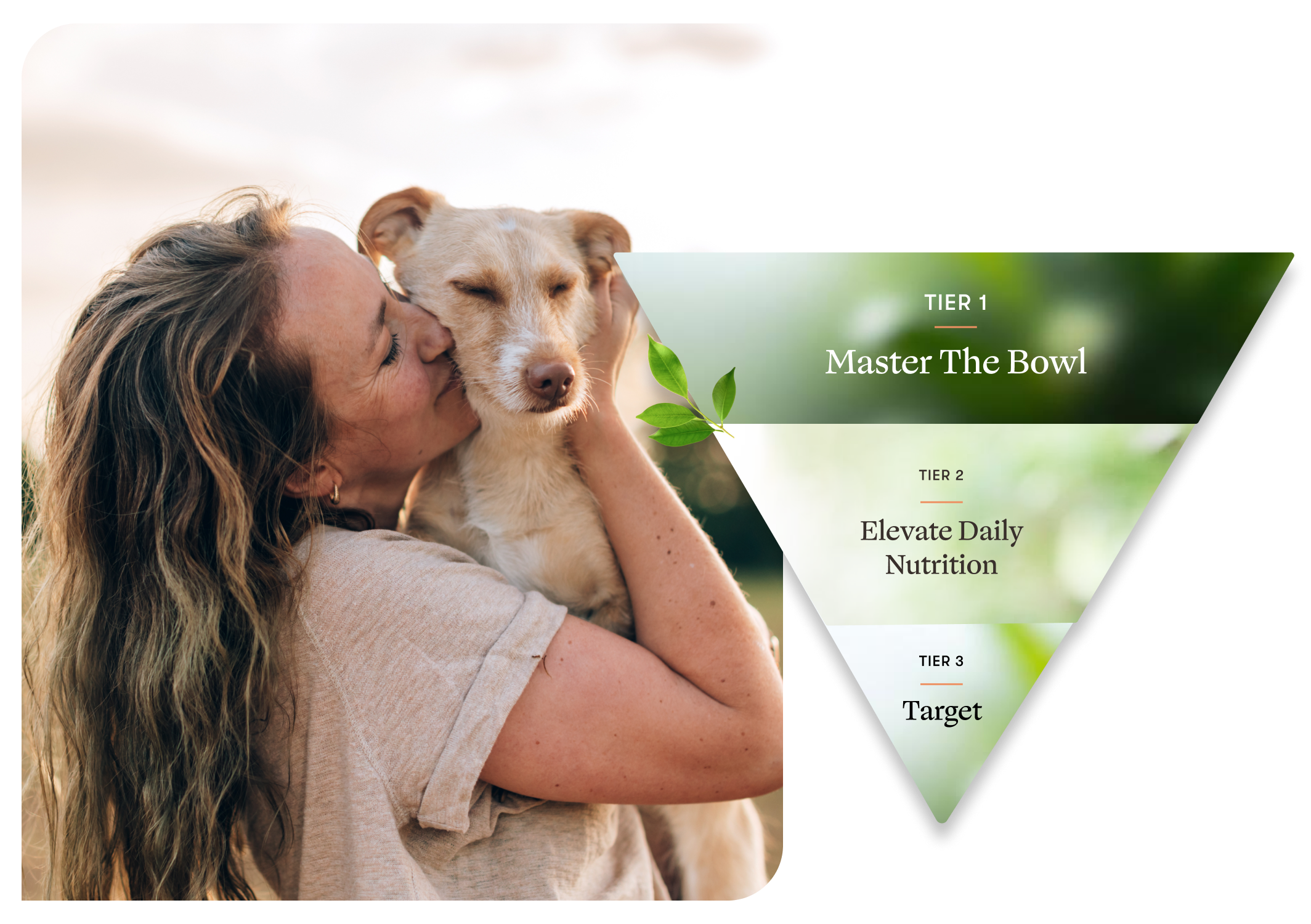Master the Bowl