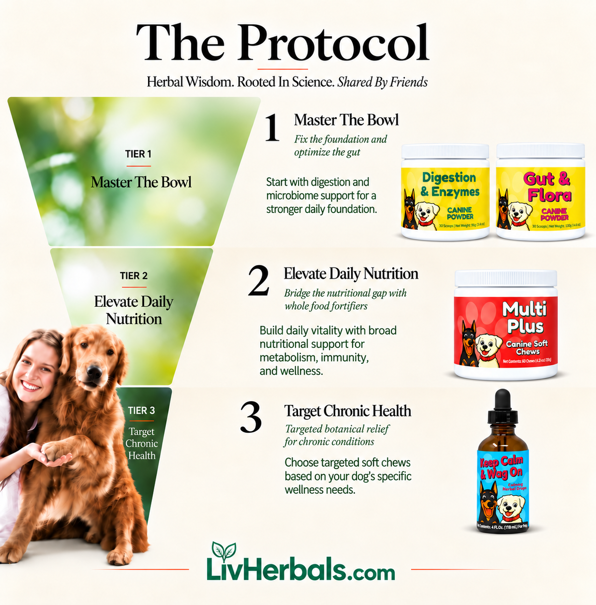 Anxiety Complete Foundation Bundle