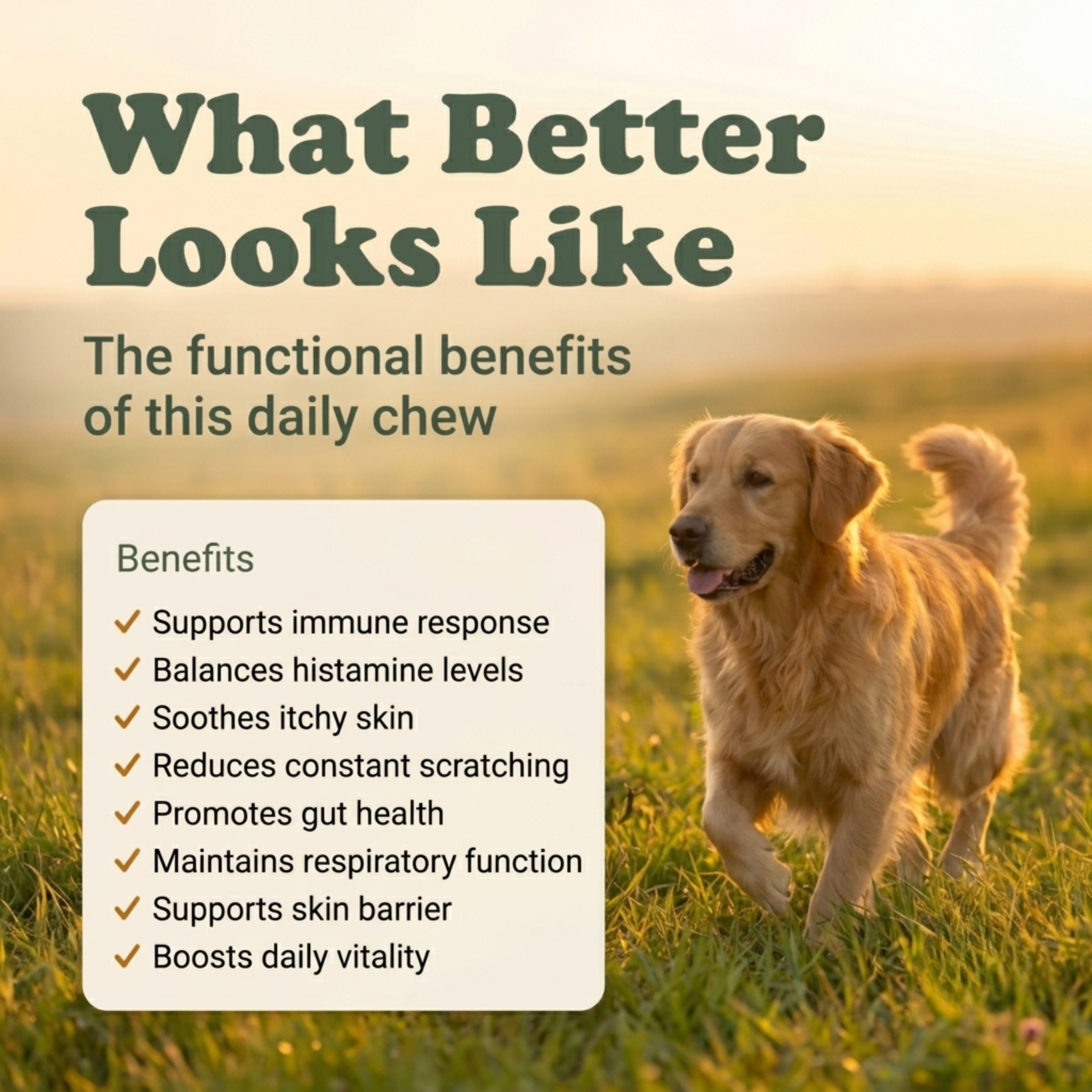 Allergy Support Soft Chews for Dogs