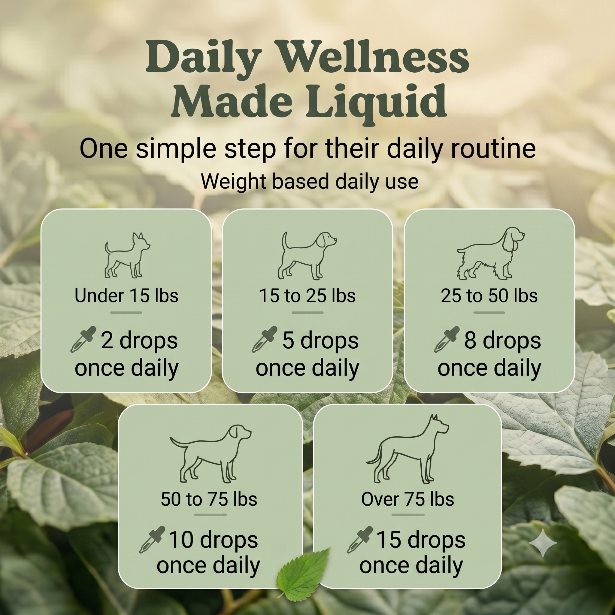 Digestive Weakness Support Herbal Drops for Dogs