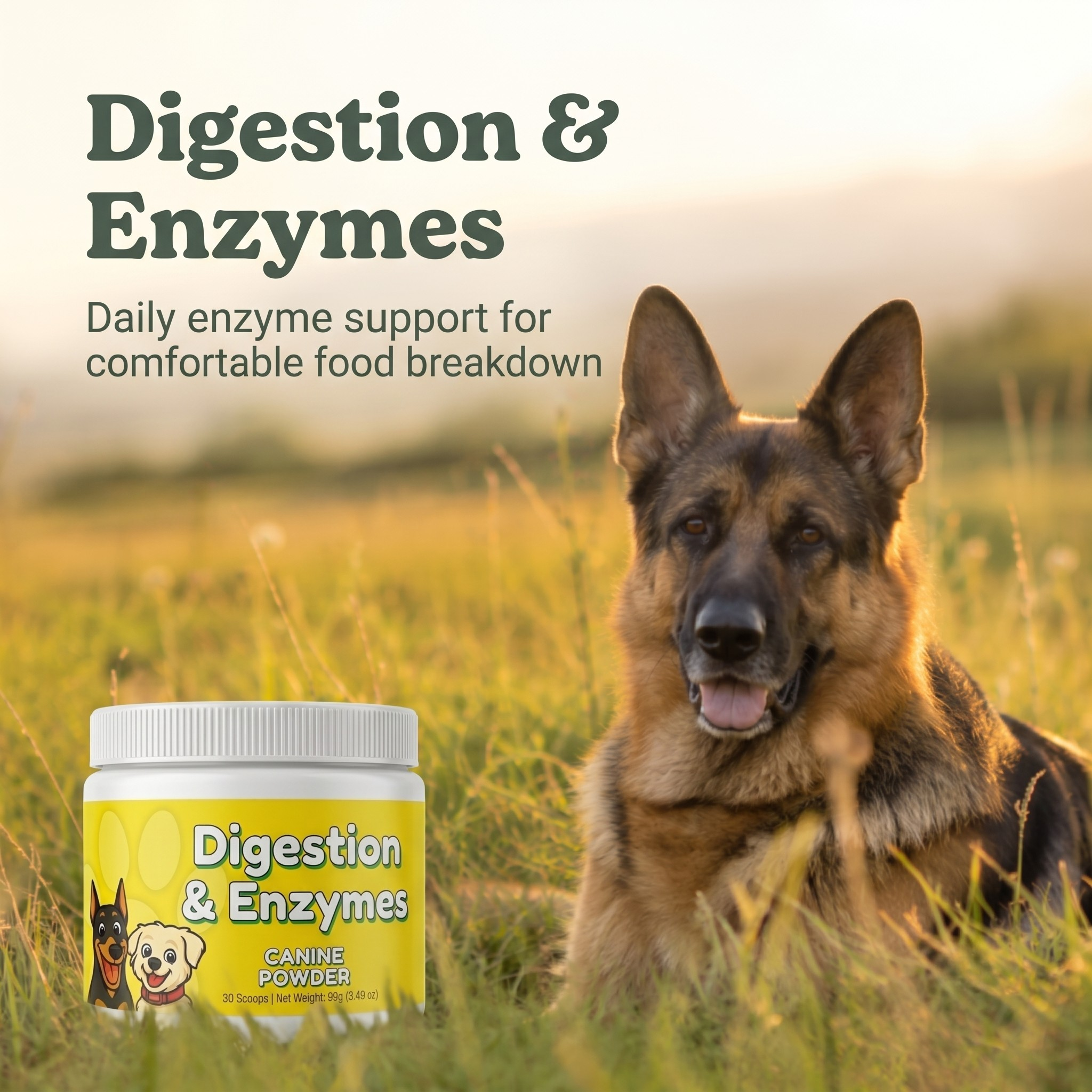 Digestion Support Powder for Dogs