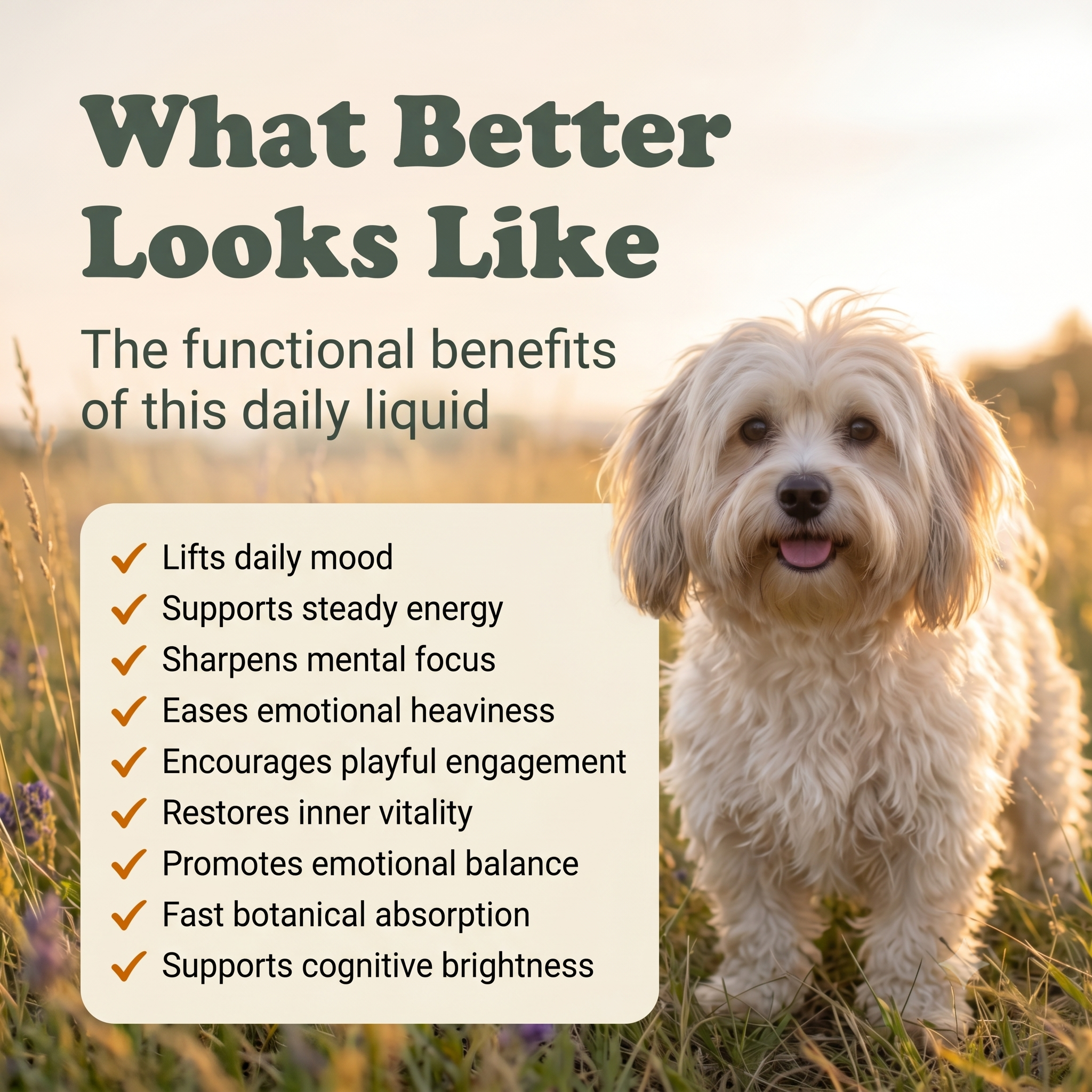 Depression Support Herbal Drops for Dogs