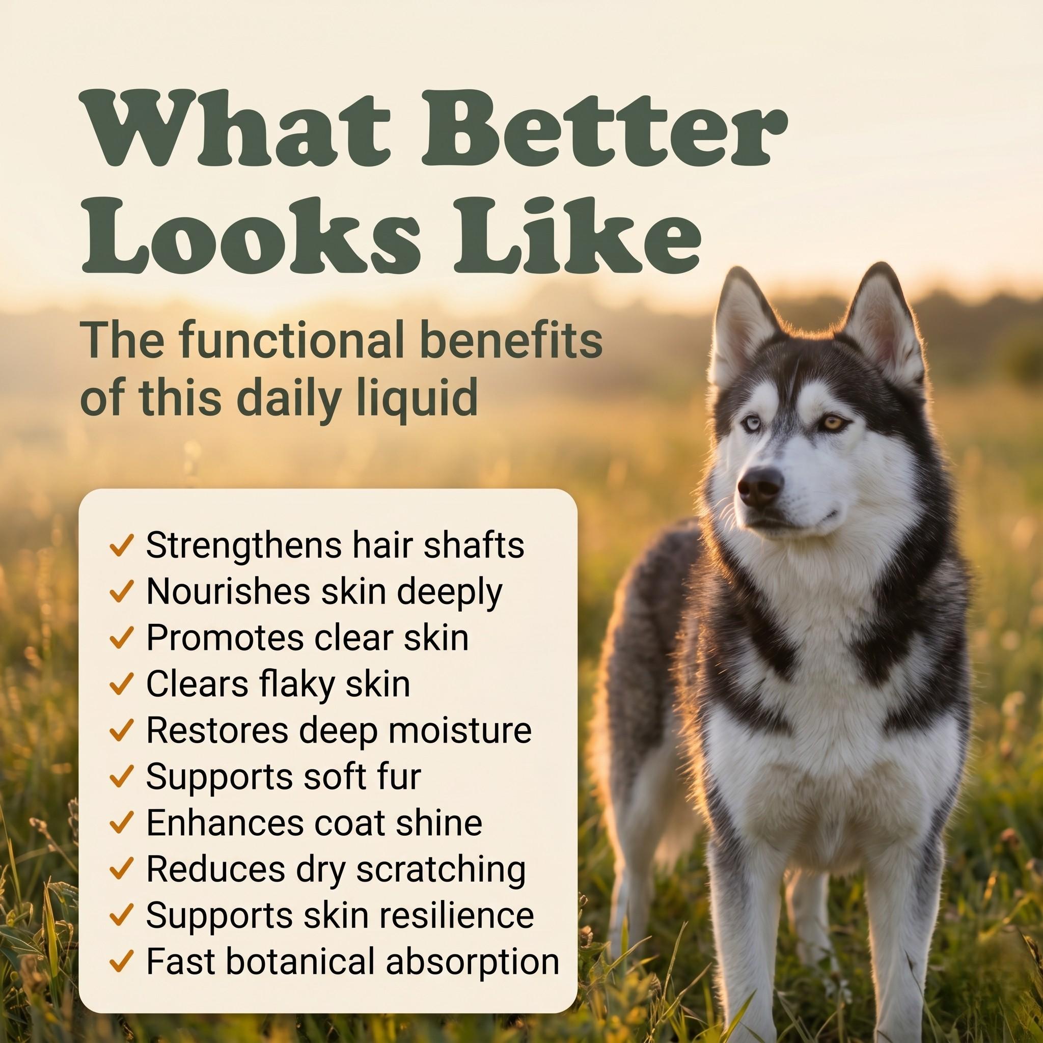 Dry Skin & Coat Herbal Drops for Dogs