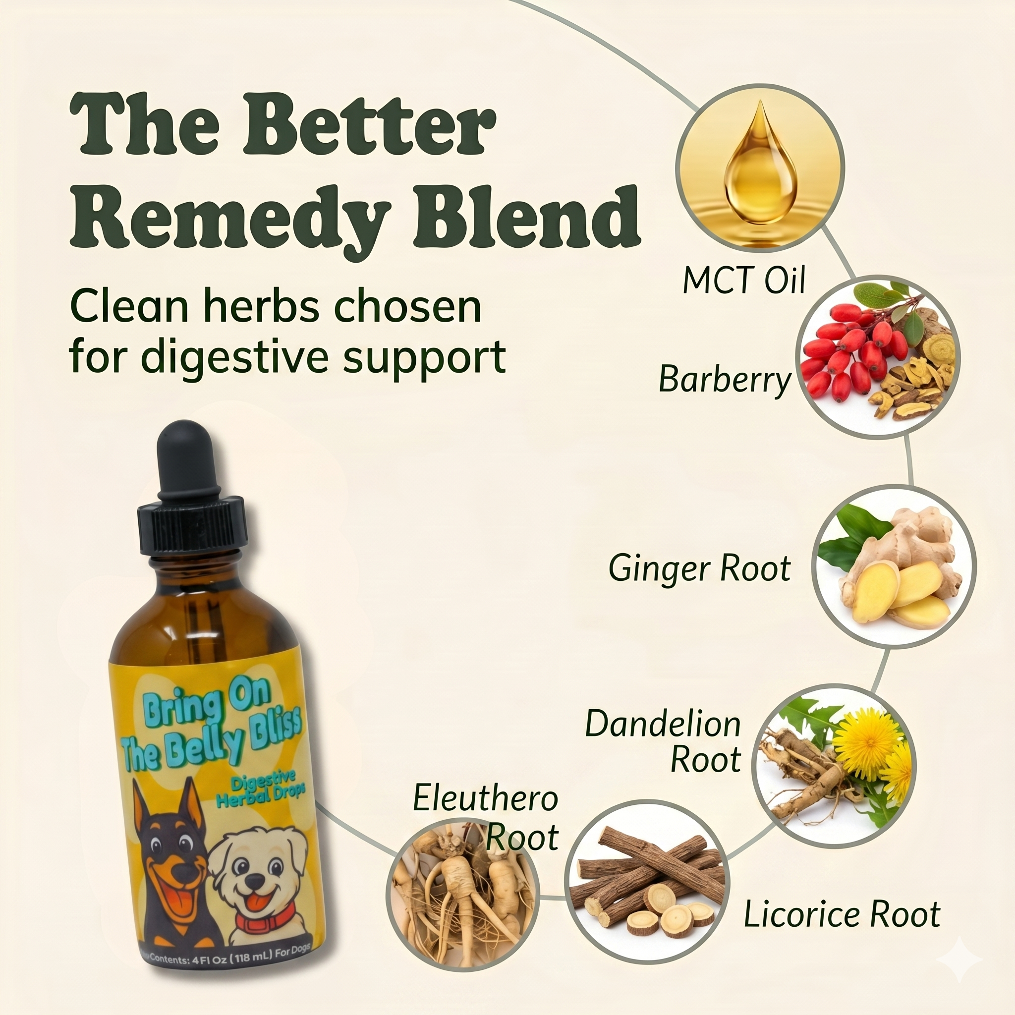 Digestive Weakness Support Herbal Drops for Dogs