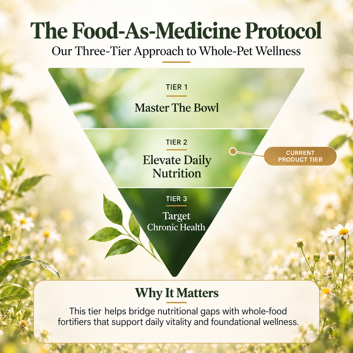 Multivitamin Support Soft Chews for Dogs