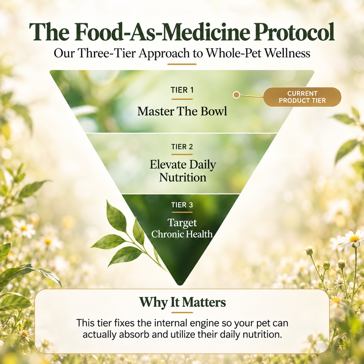 Liver Support Herbal Drops for Dogs