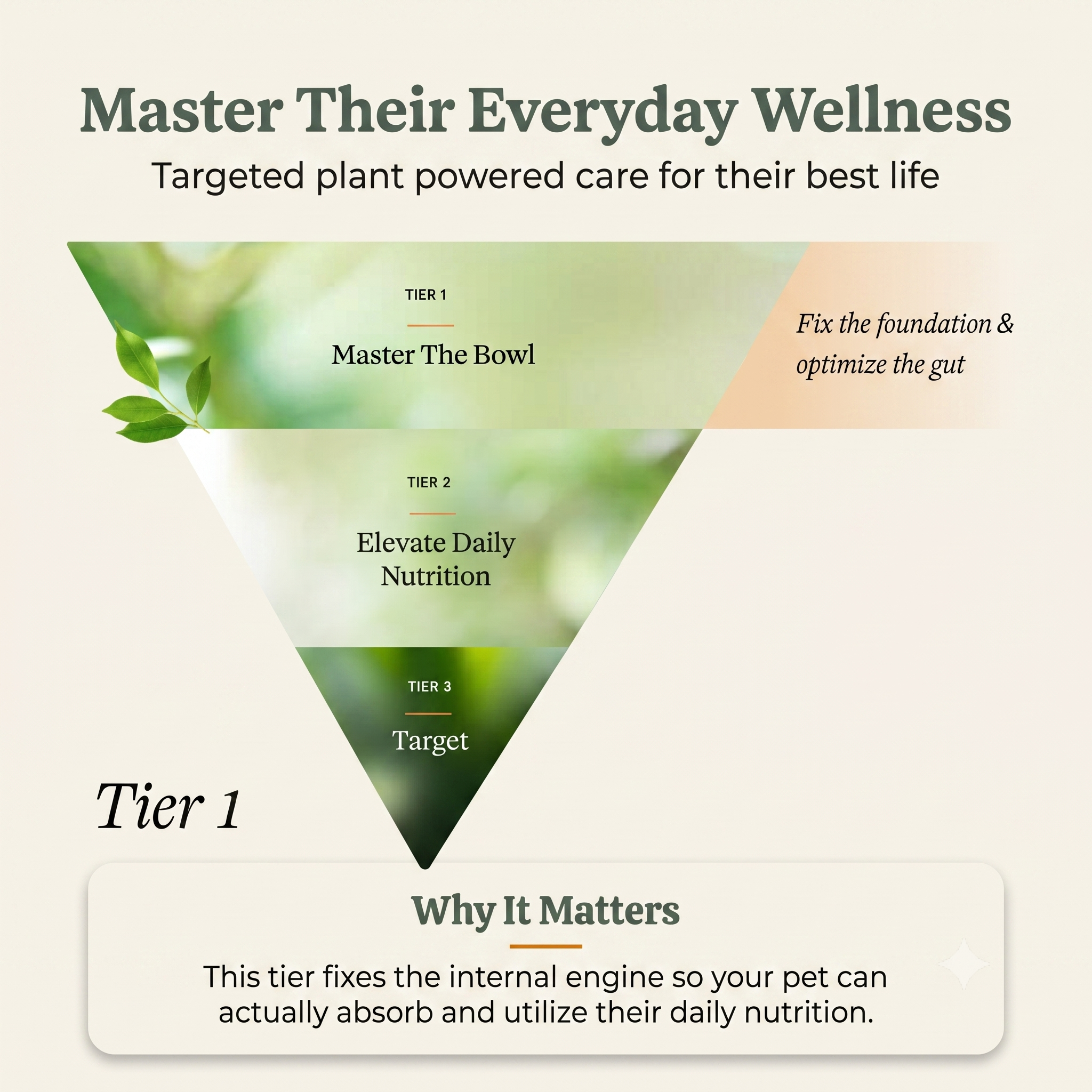 Digestion Support Powder for Dogs