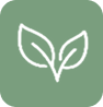 Beyond the Cough: Grounded Cardiovascular and Immune Support for Your Dog