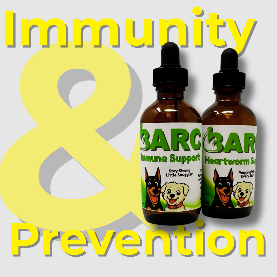 Immunity & Prevention