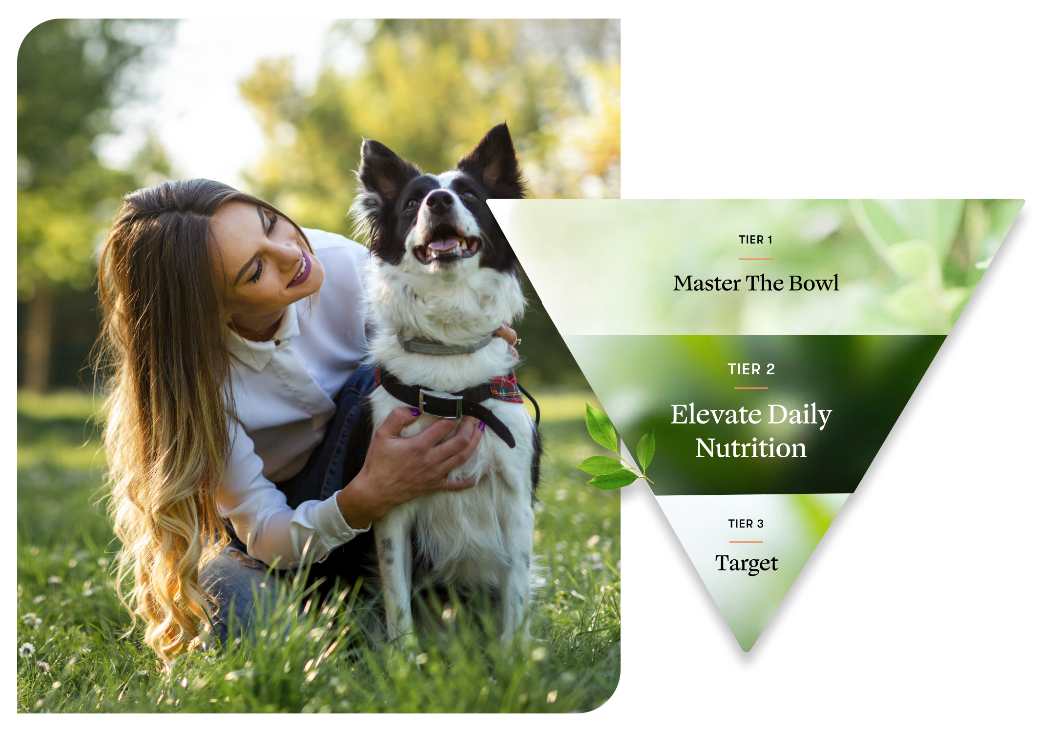 Elevate Daily Nutrition