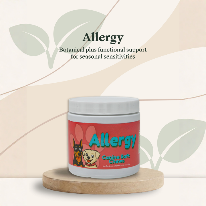 Allergy Support Soft Chews for Dogs