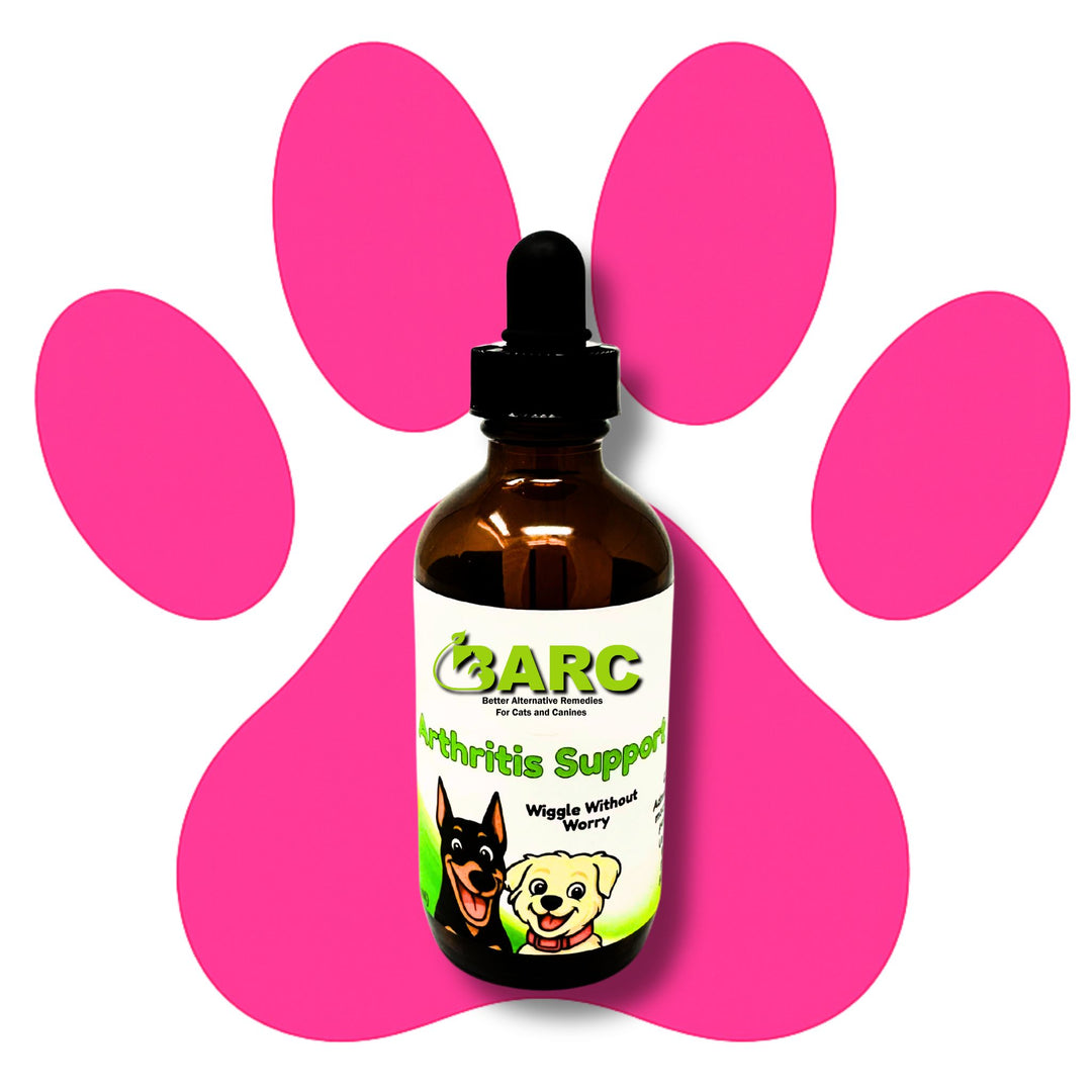 Arthritis Support Herbal Drops – BARC Better Alternative Remedies for Cats & Canines