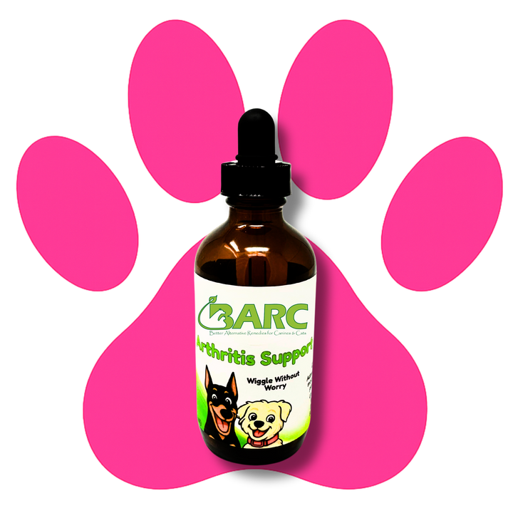 Arthritis Support Herbal Drops