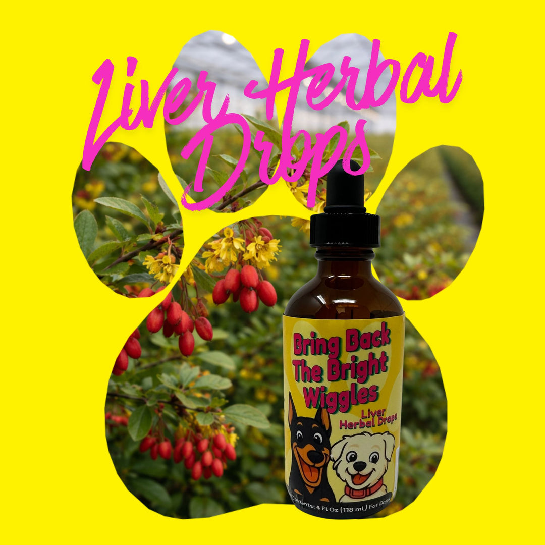 Liver Support Herbal Drops for Dogs & Cats