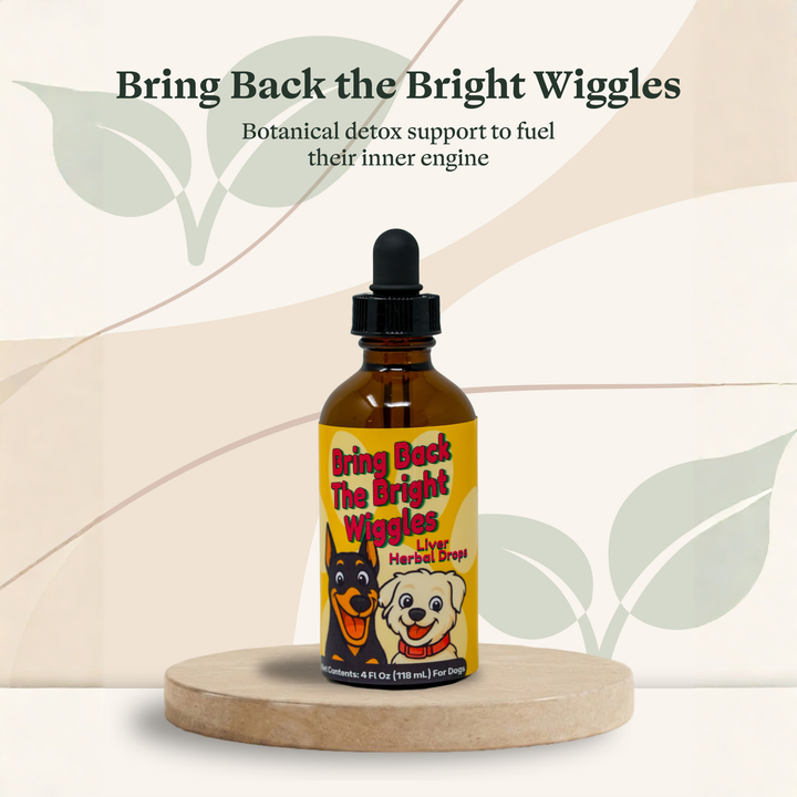 Liver Support Herbal Drops for Dogs