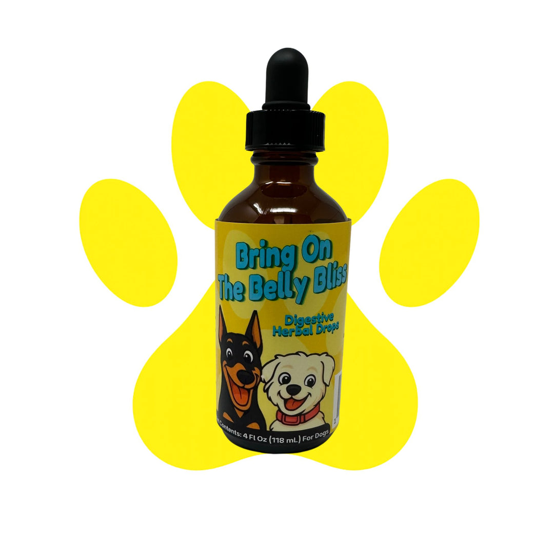Digestive Weakness Support Herbal Drops for Dogs