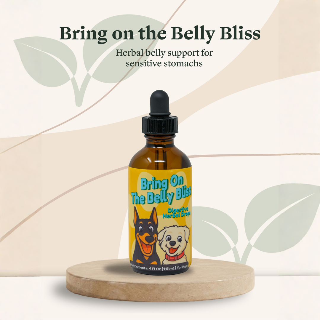 Digestive Weakness Support Herbal Drops for Dogs