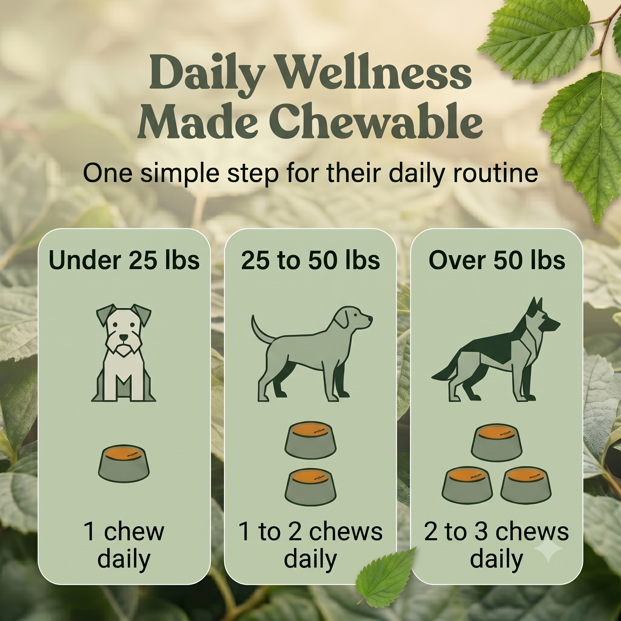 Multivitamin Support Soft Chews for Dogs