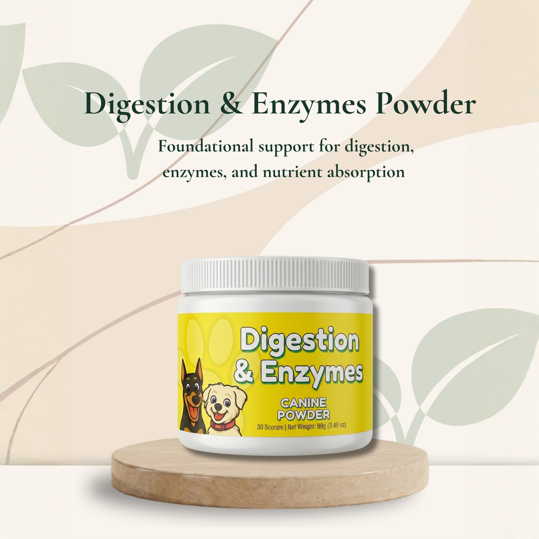 Digestion Support Powder for Dogs
