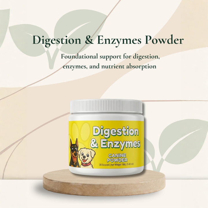 Digestion Support Powder for Dogs