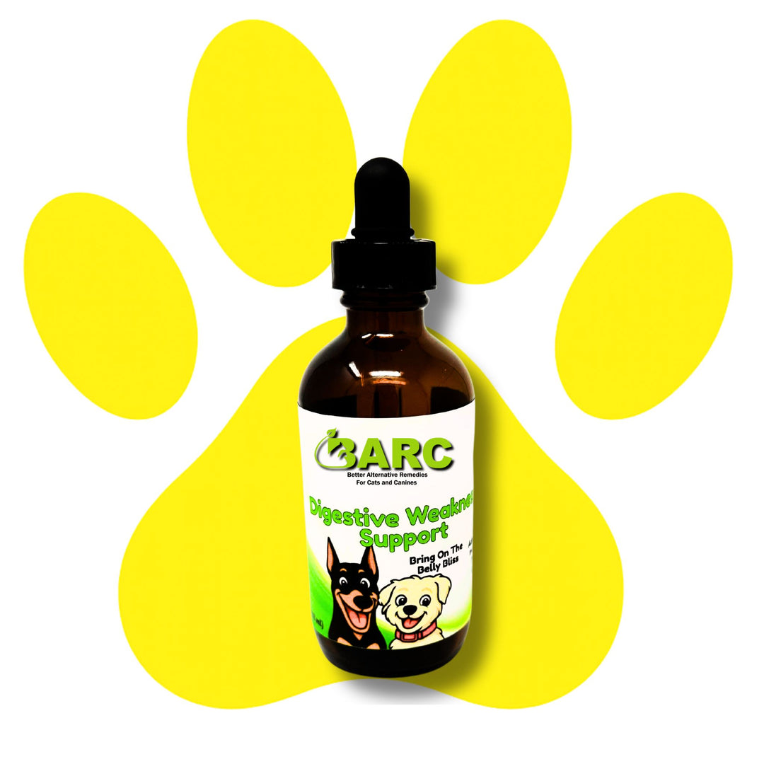 Digestive Weakness Support Herbal Drops – BARC Better Alternative Remedies for Cats & Canines