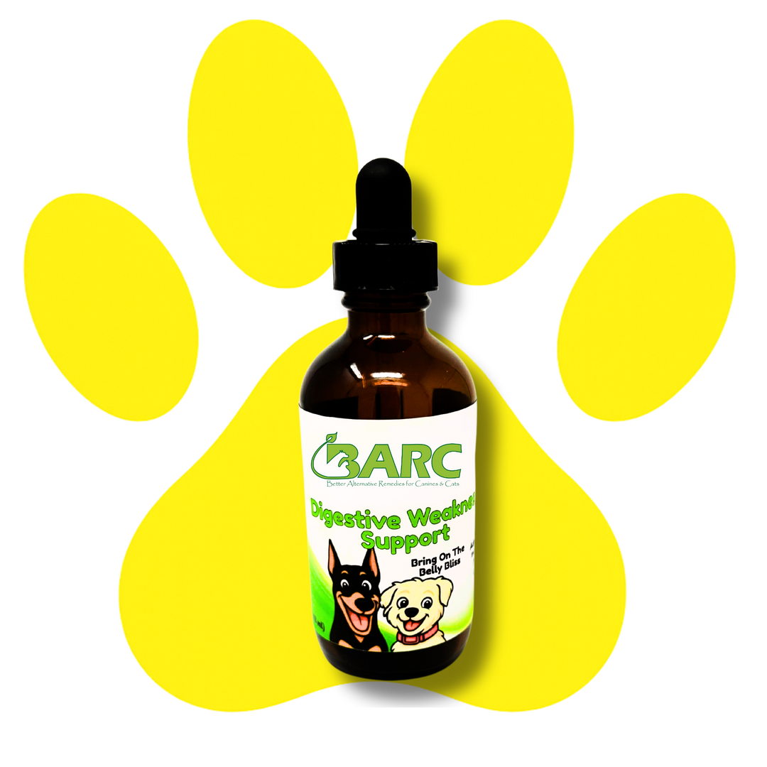 Digestive Weakness Support Herbal Drops