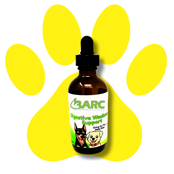 Digestive Weakness Support Herbal Drops