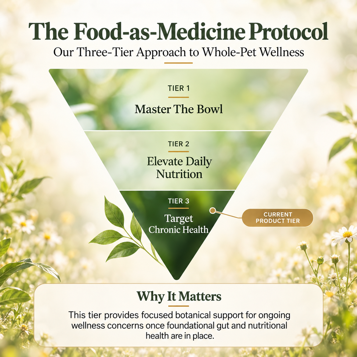 Eczema Support Herbal Drops for Dogs