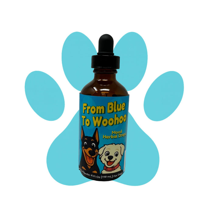 Mood Balance Support Herbal Drops for Dogs