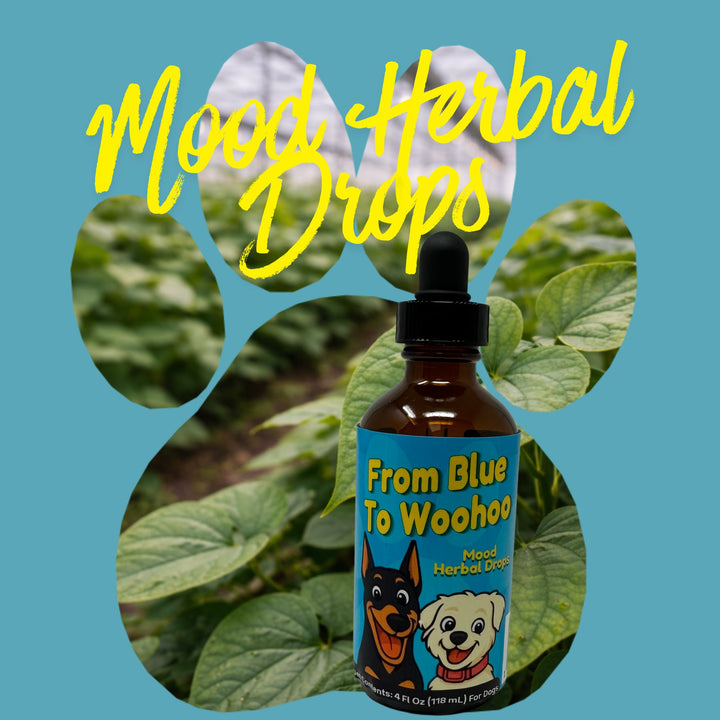 Mood Balance Support Herbal Drops for Dogs