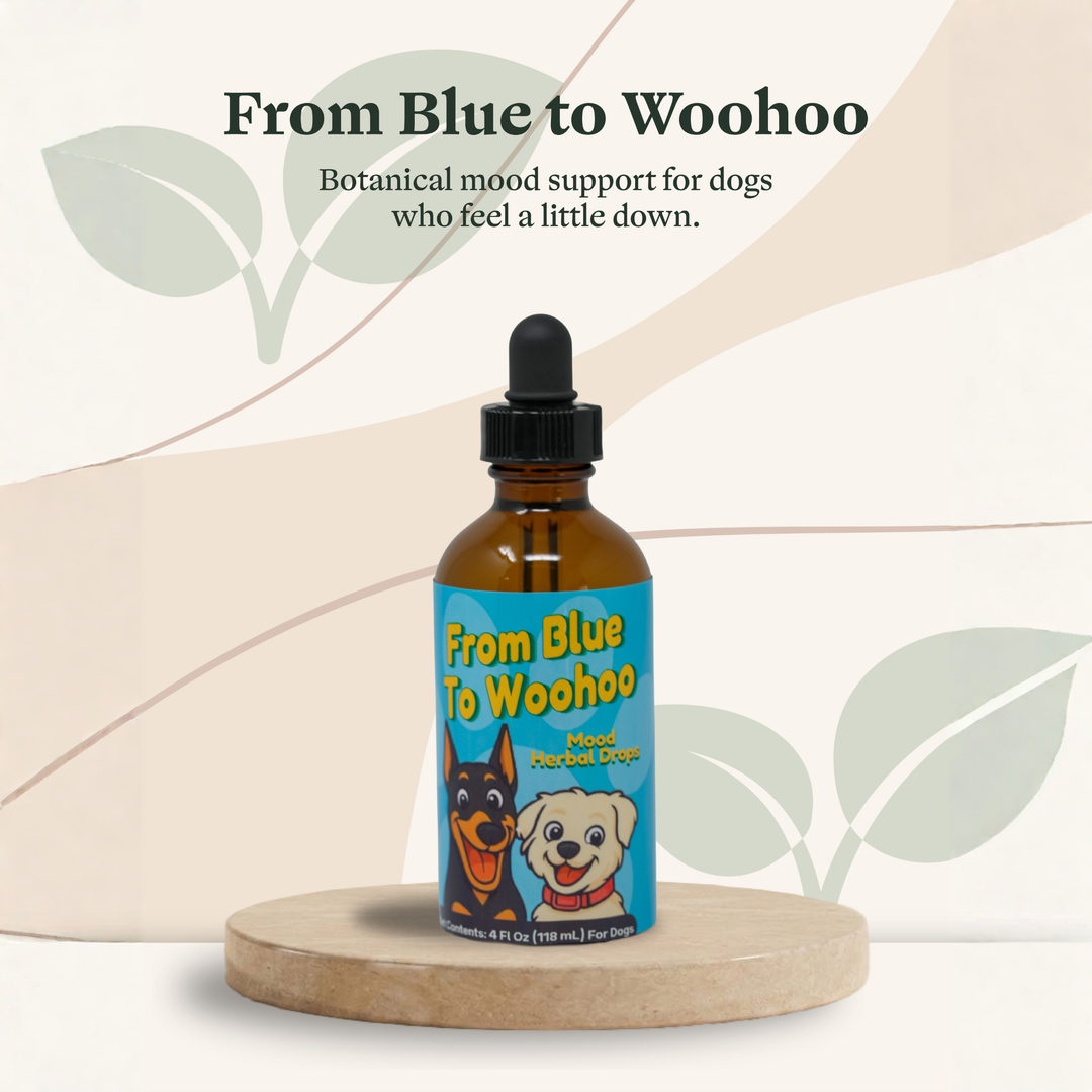 Depression Support Herbal Drops for Dogs