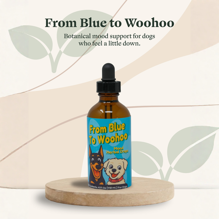 Depression Support Herbal Drops for Dogs