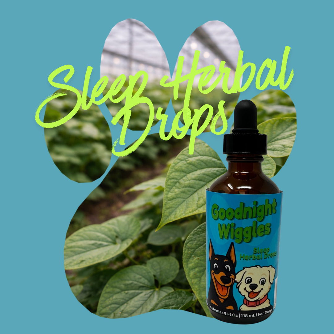 Sleep Support Herbal Drops for Dogs