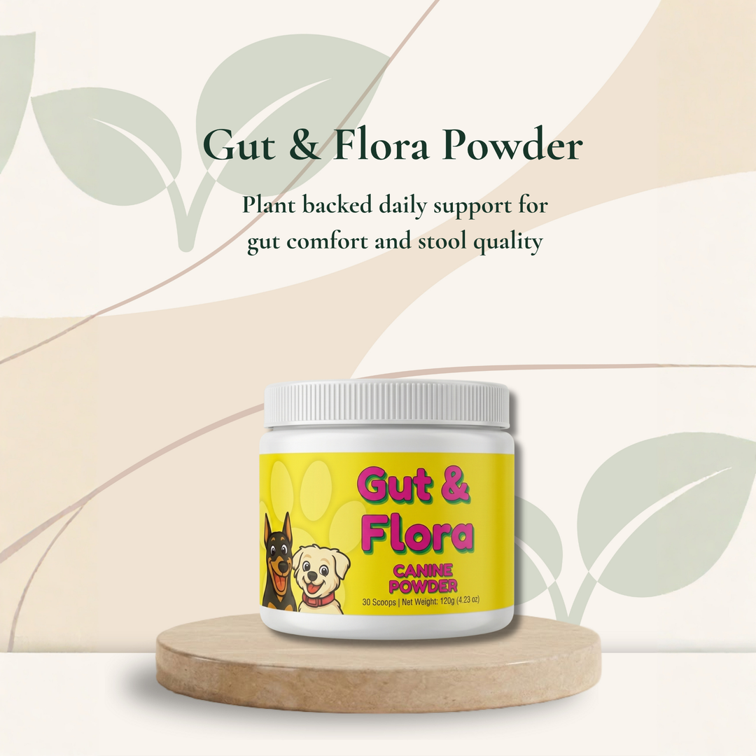 Gut Health Support Powder for Dogs