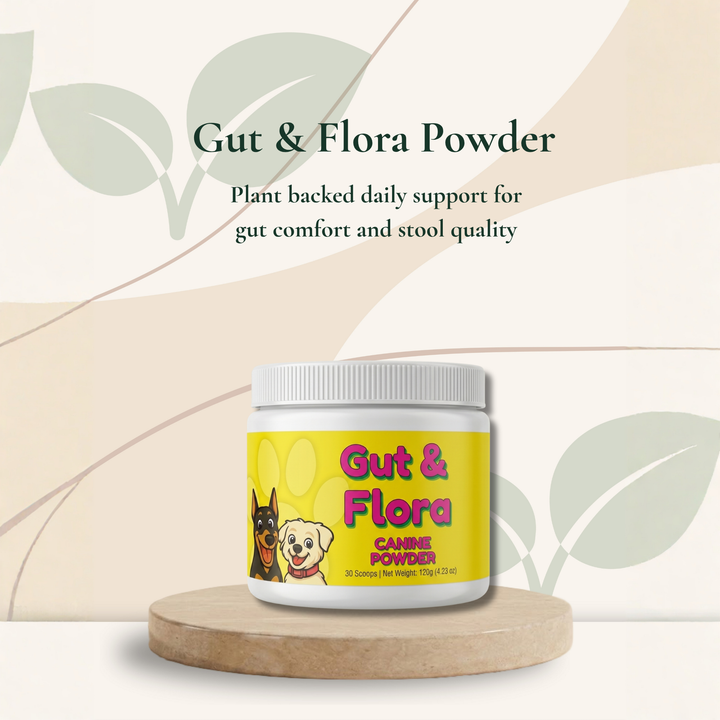 Gut Health Support Powder for Dogs