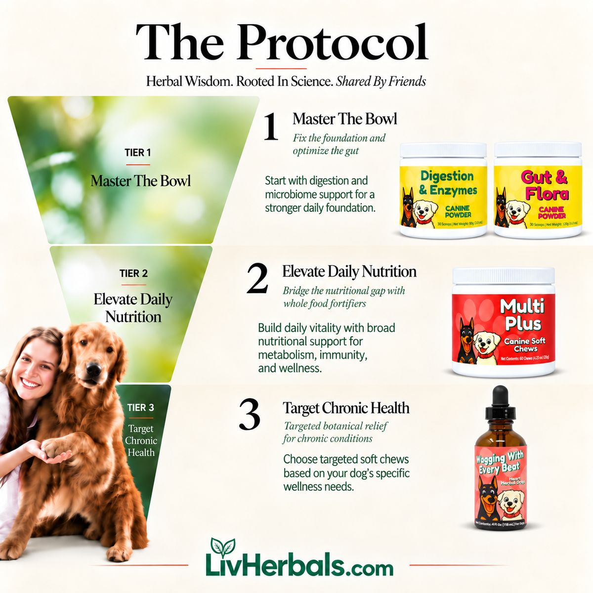 Heartworm Support Complete Foundation Bundle