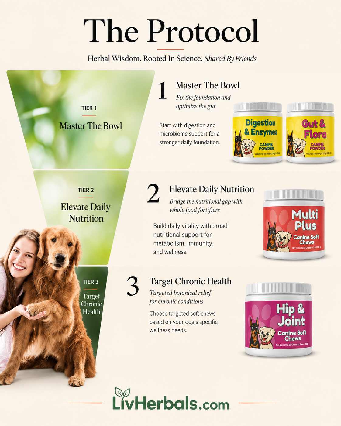 Hip & Joint Complete Foundation Bundle