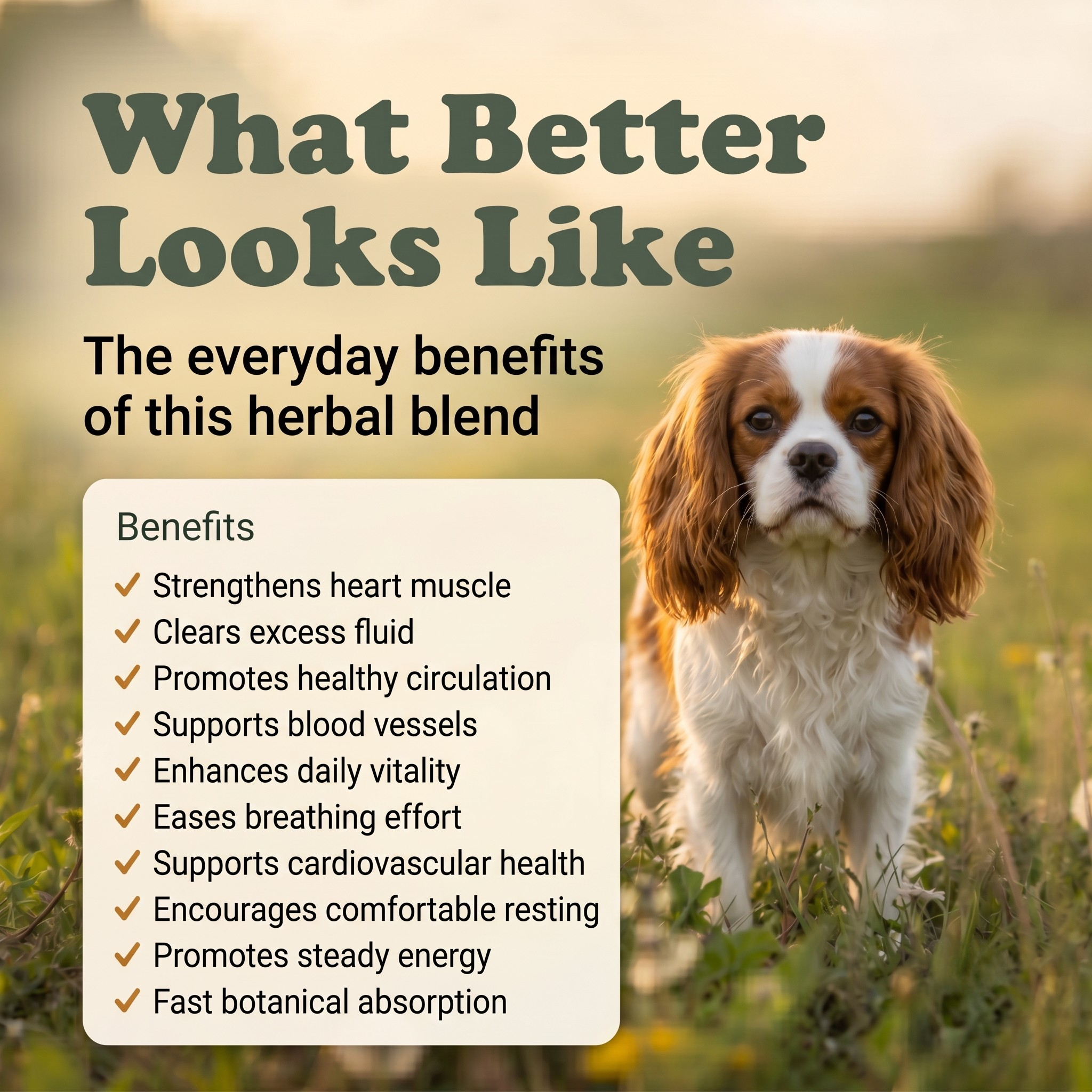 Heartworm Support Herbal Drops for Dogs