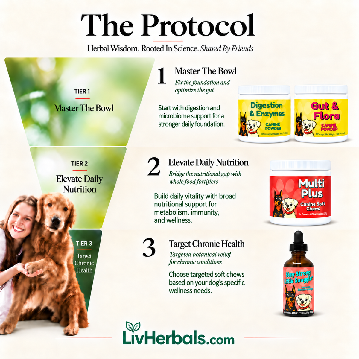 Immune Complete Foundation Bundle