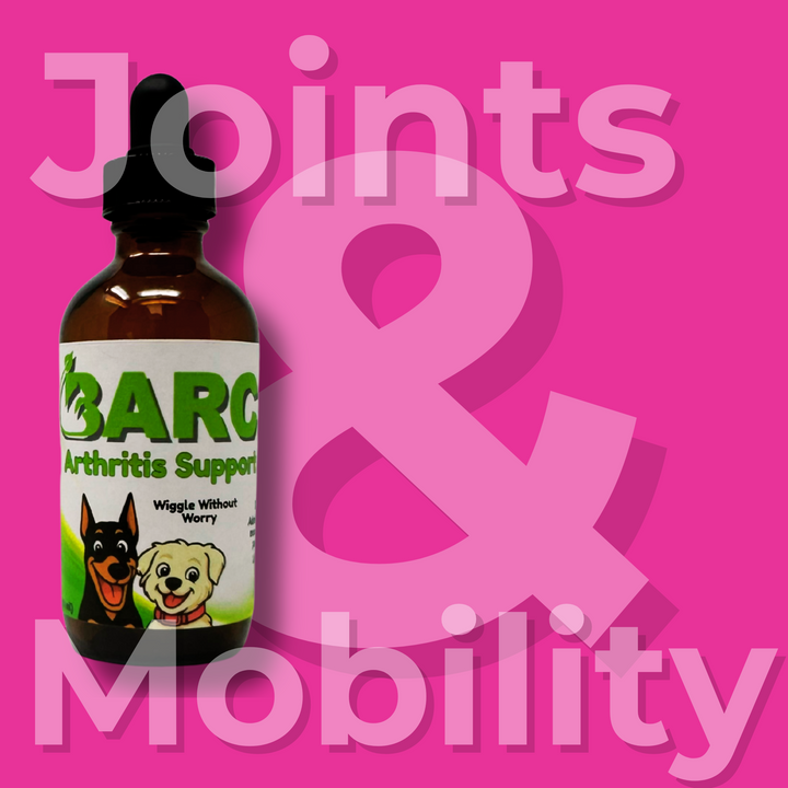 Arthritis Support – BARC Arthritis Herbal Drops for Dogs & Cats