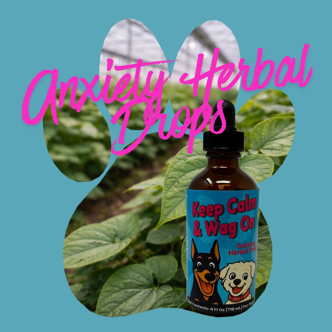 Anxiety Support Herbal Drops for Dogs
