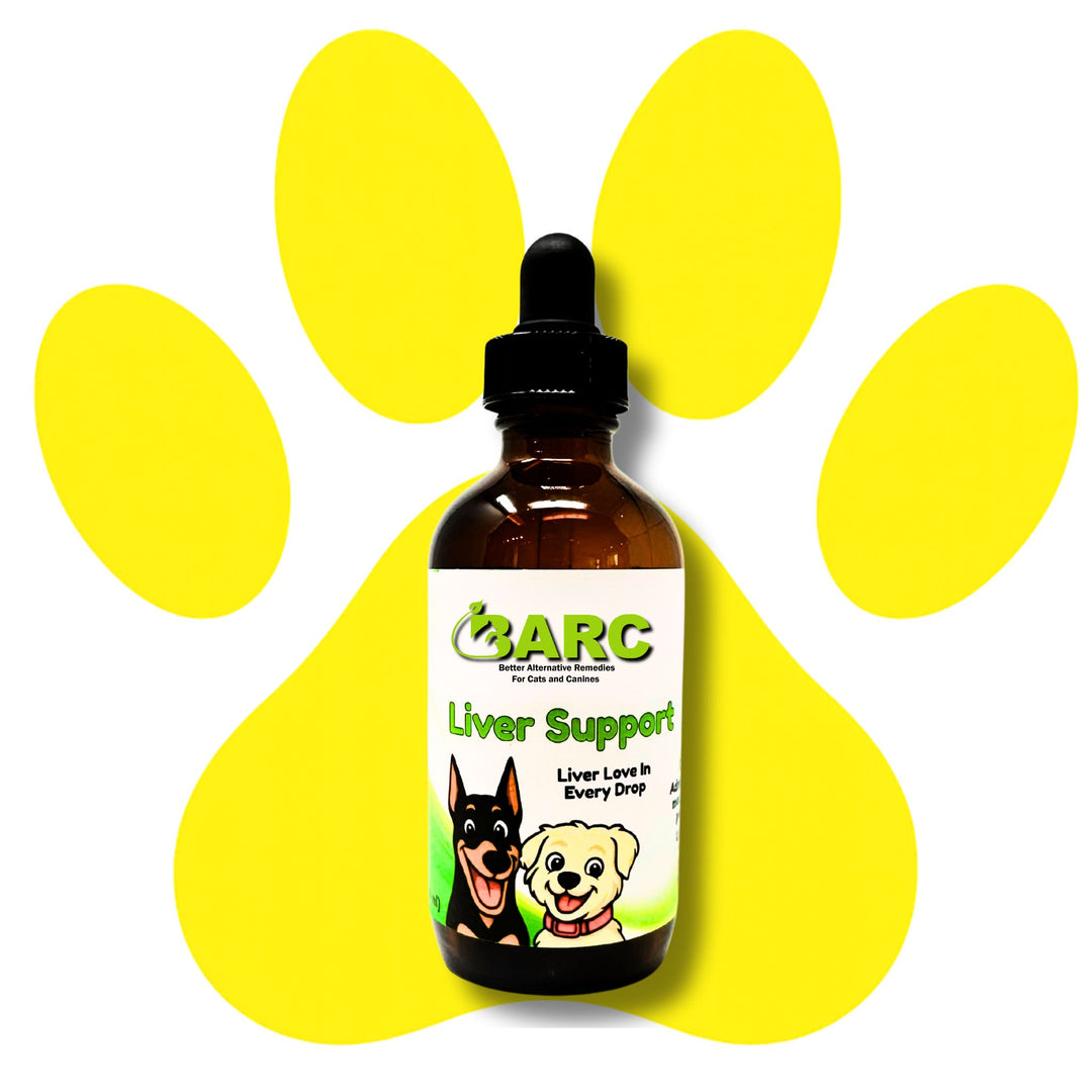 Liver Support Herbal Drops - BARC Better Alternative Remedies for Cats & Canines