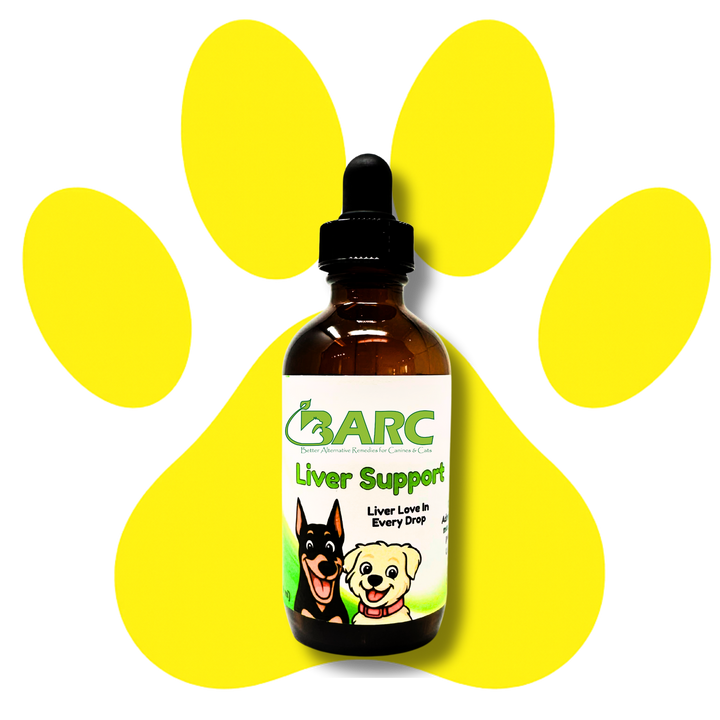 Liver Support Herbal Drops