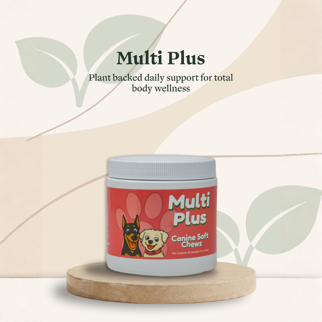 Multivitamin Support Soft Chews for Dogs