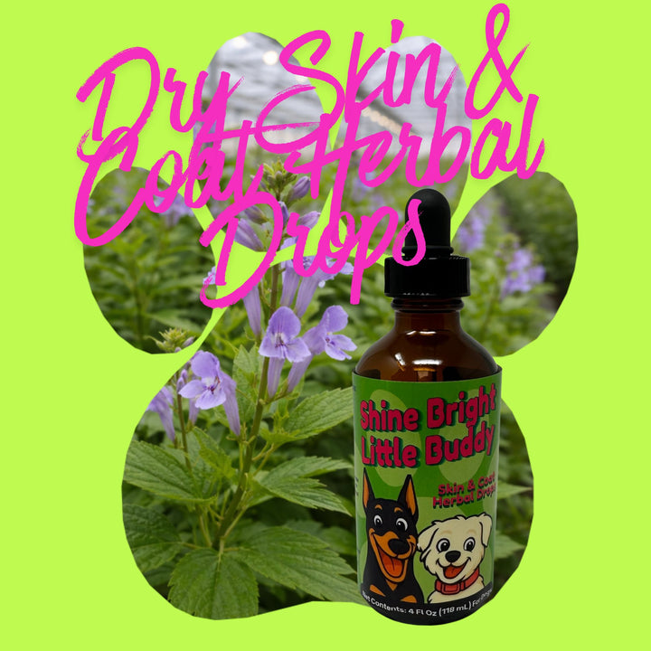 Dry Skin & Coat Support Herbal Drops for Dogs