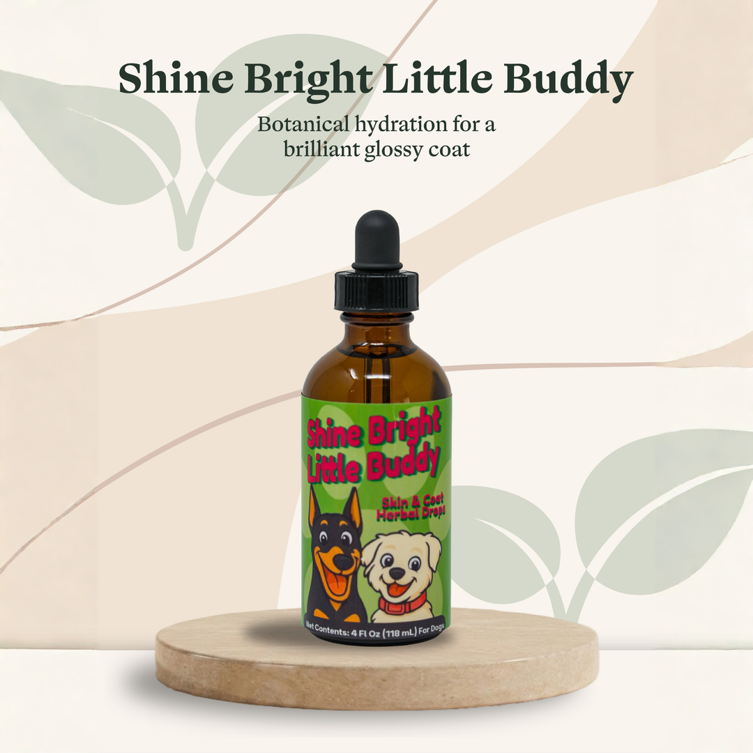 Dry Skin & Coat Herbal Drops for Dogs