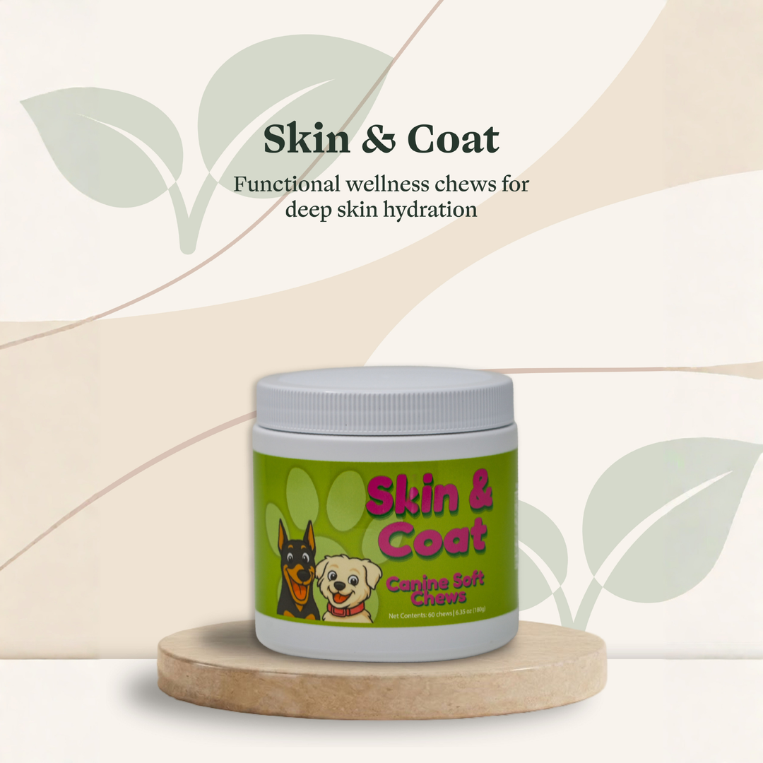 Skin & Coat Support Soft Chews for Dogs