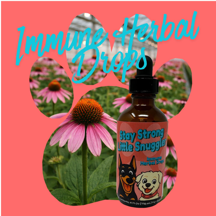 Immune Support Herbal Drops for Dogs