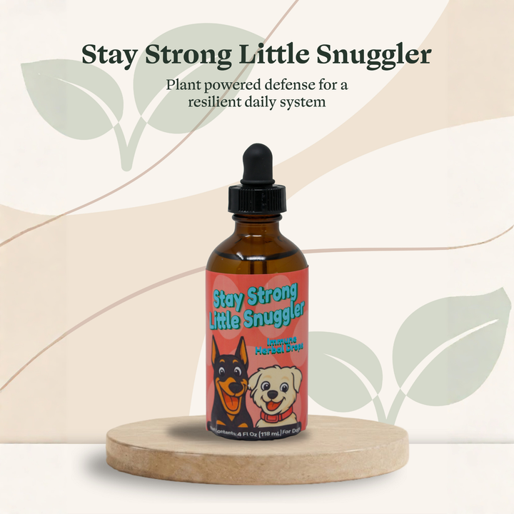 Immune Support Herbal Drops for Dogs