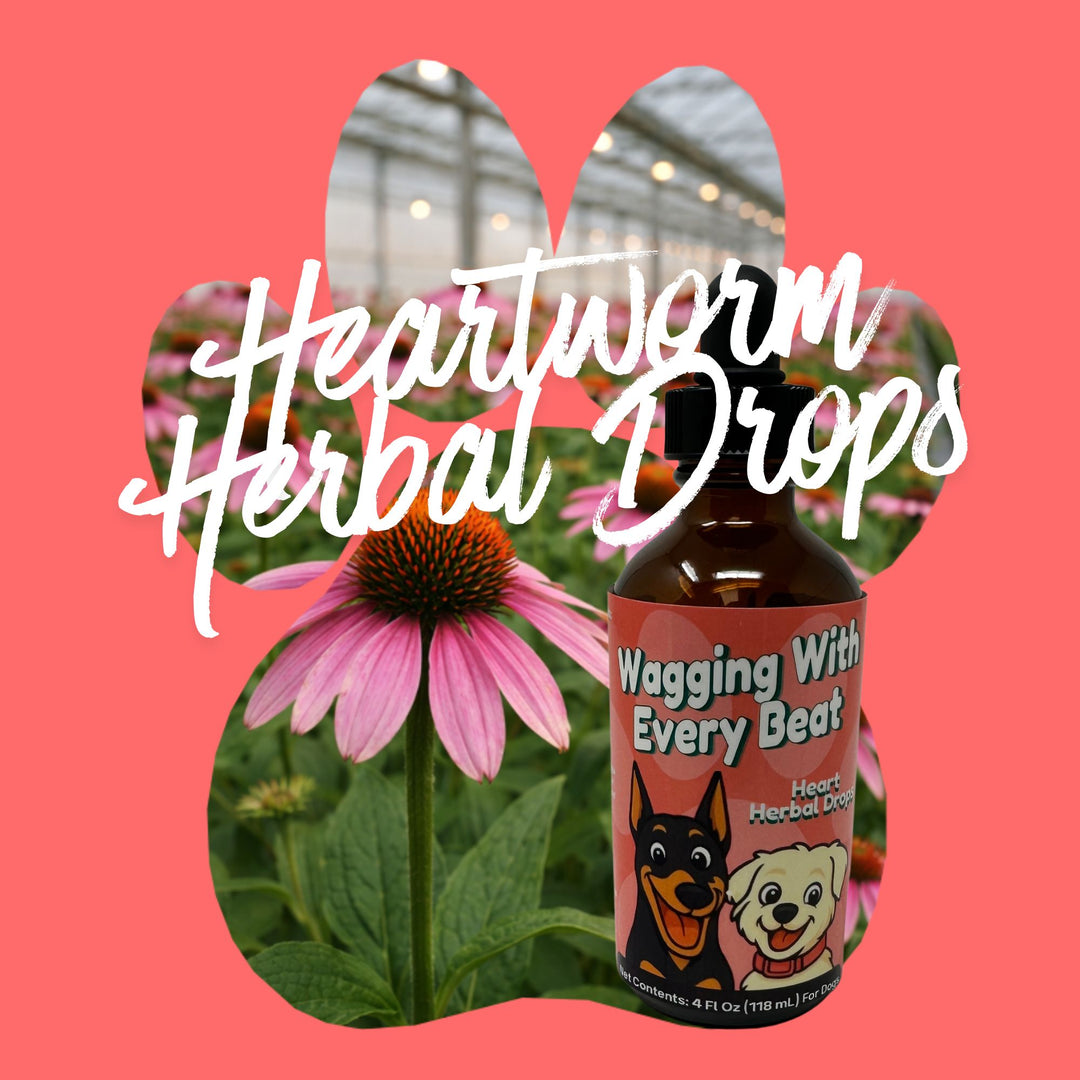 Heartworm Support Herbal Drops for Dogs